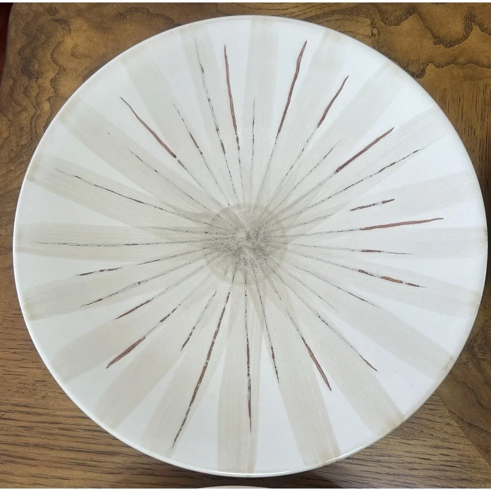 4 Pier 1 Imports Sanctuary Starburst Stoneware Dinner Plates 11.25